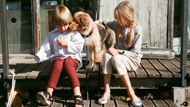 Study suggests living with pets has 'significant' health benefits for young children