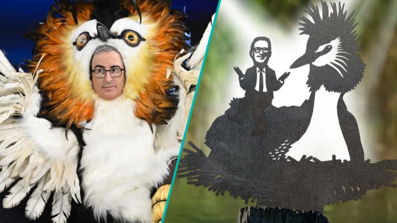 John Oliver collaboration gives incredible boost to NZ business Metal Bird