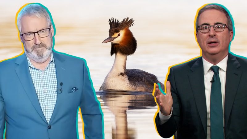 John Oliver is interfering in NZ's 'Bird Of The Century' by campaigning for a half-Aussie bird