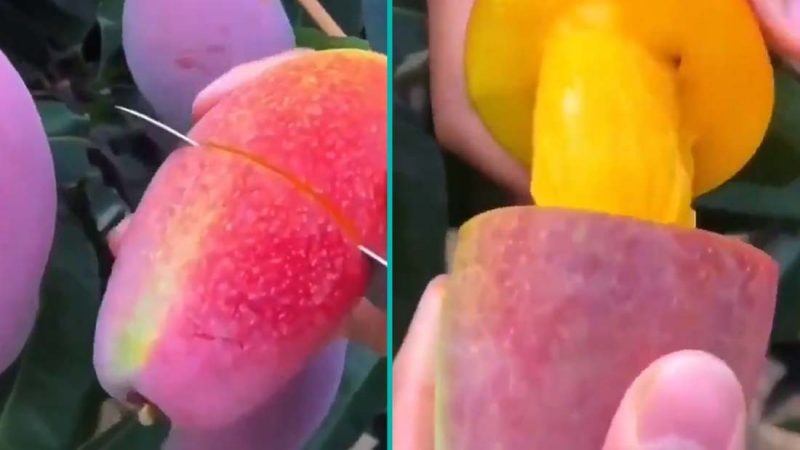 People are loving this viral mango hack