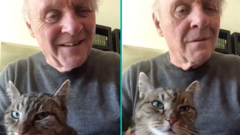Anthony Hopkins delights fans as he plays piano for his cat in self-isolation