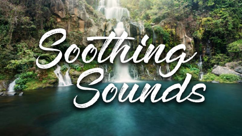 Take it easy with our new Soothing Sounds Music+ Station