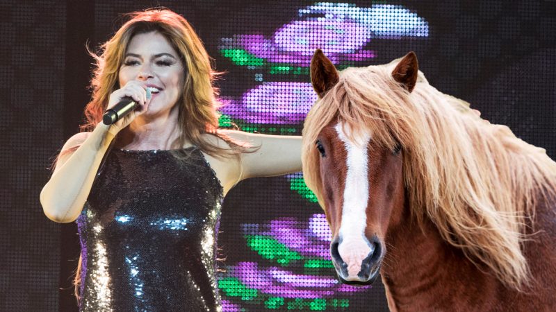 Shania Twain reveals her biggest onstage mishap involving her horse