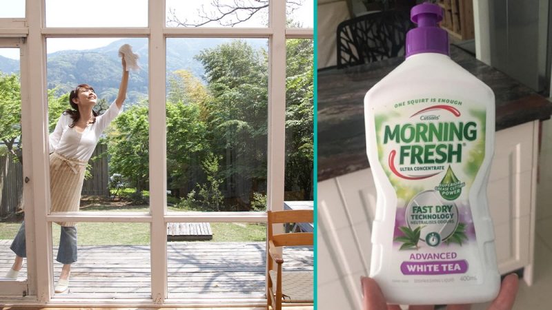 Woman shares that dishwashing liquid is the secret to her spotless windows