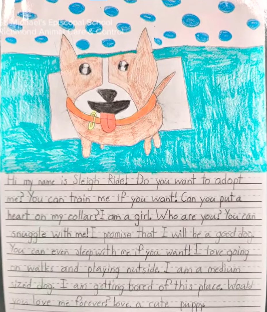 8 year-old students wrote letters and successfully got 21/24 shelter animals adopted (so far)
