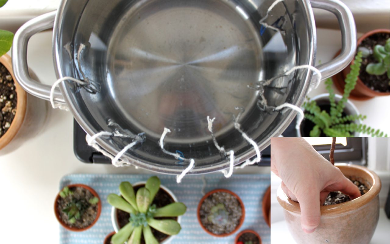 Handy trick to water plants using cooking pot, when away for a holiday