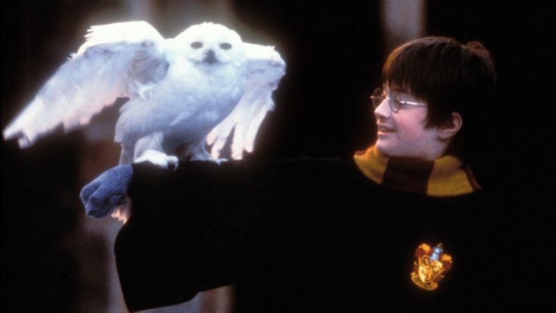 New Harry Potter TV series in the works, HBO confirms