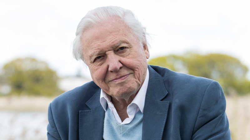 The jaw-dropping amount Sir David Attenborough earns per minute for a TV show