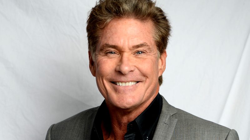 David Hasselhoff and Rhys Darby surprised with 'special' tribute from local CHCH artists