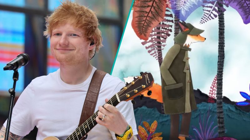 A clever Kiwi duo has created Ed Sheeran's new music video for his song 'Punchline'