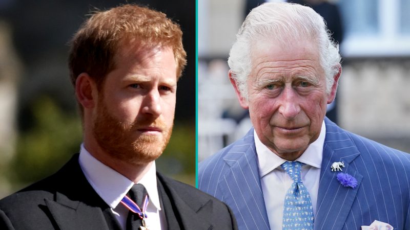 Prince Harry quickly returns to the UK to visit King Charles III after shock cancer diagnosis