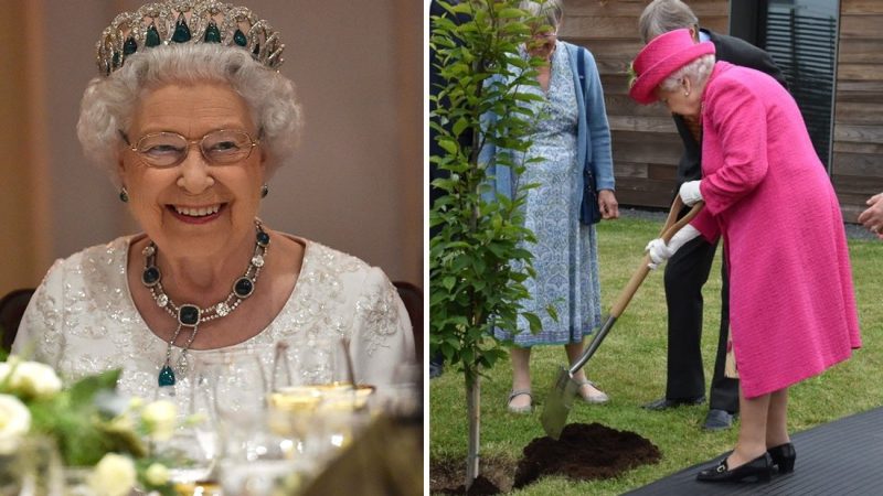 The Queen has sassy response when offered a helping hand