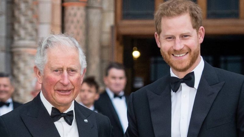 Prince Harry is a spitting image of Prince Charles in new 'throwback' image