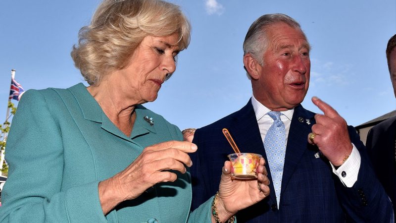 Where the public can meet Prince Charles and Camilla during their NZ visit