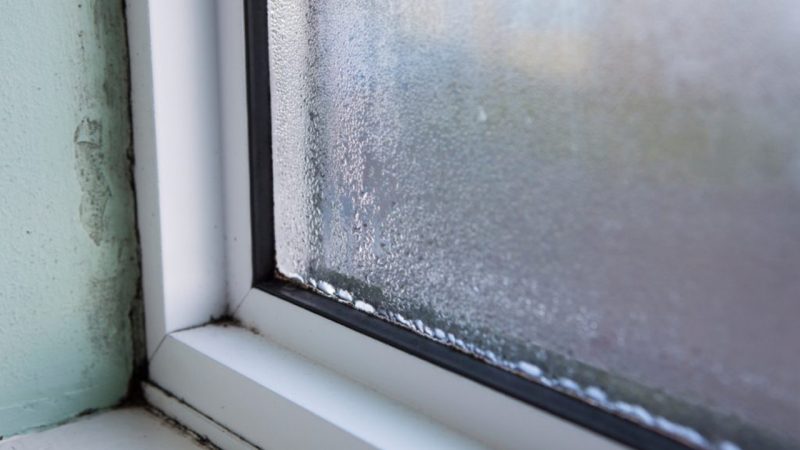 Mum shares her genius hack to prevent condensation and dampness in your home