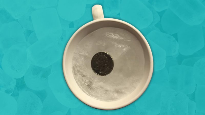 Kiwi's viral 'one cup tip' explains why you should put a coin on a cup of frozen water